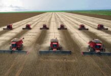 Oportunidad Única para Productores: Asegurar Precios Mínimos ante el Alza Global