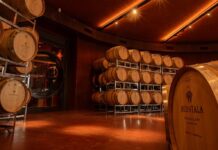 Un Malbec Argentino Triunfa: El Mejor Vino Tinto del Mundo Según IWC