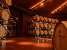 Un Malbec Argentino Triunfa: El Mejor Vino Tinto del Mundo Según IWC