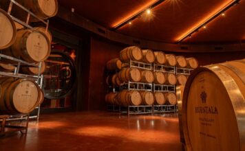 Un Malbec Argentino Triunfa: El Mejor Vino Tinto del Mundo Según IWC