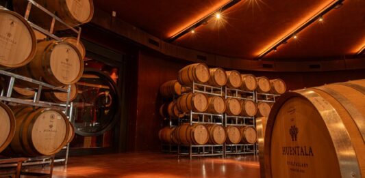 Un Malbec Argentino Triunfa: El Mejor Vino Tinto del Mundo Según IWC
