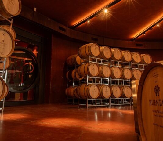 Un Malbec Argentino Triunfa: El Mejor Vino Tinto del Mundo Según IWC