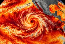 Huracán Polo: Una Tormenta Histórica en el Pacífico Mexicano