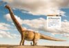 Descubren en Argentina los huevos del dinosaurio más grande del mundo