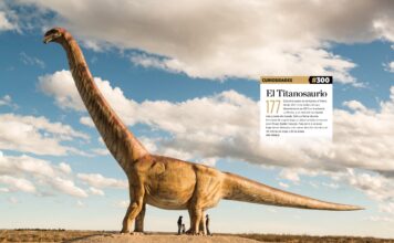 Descubren en Argentina los huevos del dinosaurio más grande del mundo