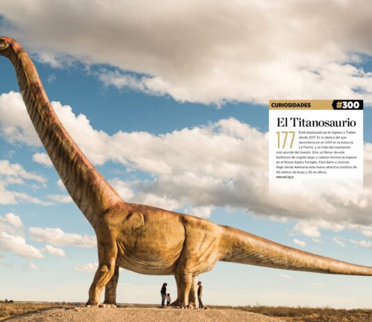 Descubren en Argentina los huevos del dinosaurio más grande del mundo