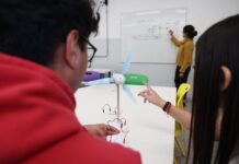 La Educación en Crisis: La Falta de Activismo Político que Afecta a los Docentes