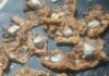 Descubren cocaína y marihuana en empanadas destinadas a un preso