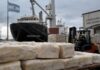 El Secreto del Sebo Bovina: Argentina Aumenta sus Exportaciones y Escala en el Mercado Internacional