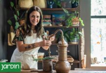 Descubre Sabe a Rama: El emprendimiento que transforma flores en cosmética natural