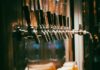 Las Cervezas de Culto que Crean Verdaderos Fans: Innovación y Pasión en Cada Lata