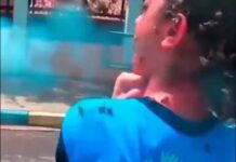 Impactante ataque de abejas a una estudiante en Brasil deja múltiples heridos