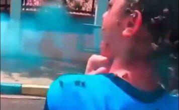 Impactante ataque de abejas a una estudiante en Brasil deja múltiples heridos