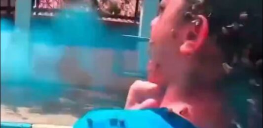 Impactante ataque de abejas a una estudiante en Brasil deja múltiples heridos