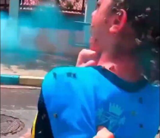 Impactante ataque de abejas a una estudiante en Brasil deja múltiples heridos