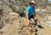 Descubrimiento Asombroso: Huellas de un T. rex Revelan su Forma de Caminar Hace 66 Millones de Años