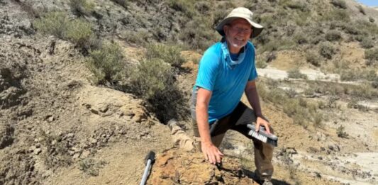 Descubrimiento Asombroso: Huellas de un T. rex Revelan su Forma de Caminar Hace 66 Millones de Años
