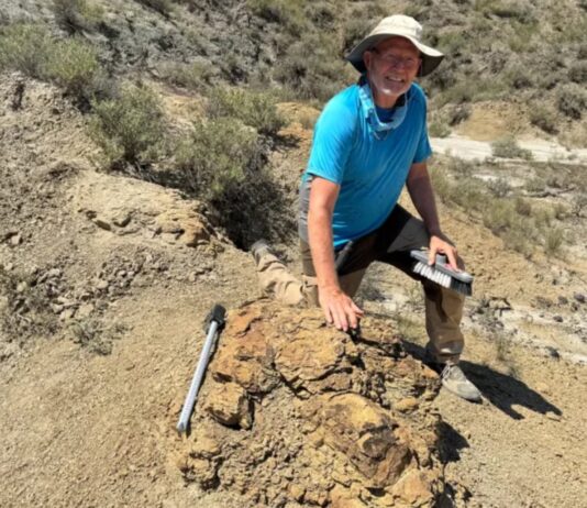 Descubrimiento Asombroso: Huellas de un T. rex Revelan su Forma de Caminar Hace 66 Millones de Años