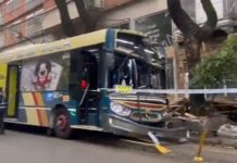Accidente en Palermo: colectivo fuera de control choca contra un árbol y deja heridos