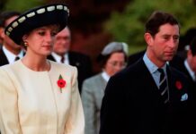 Las Revelaciones Impactantes del Hermano de Diana que Sacuden a la Familia Real Británica