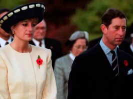 Las Revelaciones Impactantes del Hermano de Diana que Sacuden a la Familia Real Británica