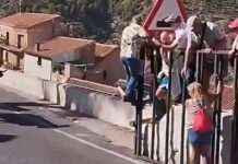 Tragedia en España: Mujer muere corneada por un toro durante festividades