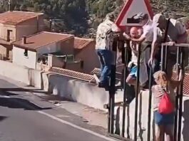 Tragedia en España: Mujer muere corneada por un toro durante festividades