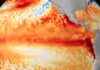 El fenómeno de El Niño traerá lluvias intensas y cambios térmicos en el país