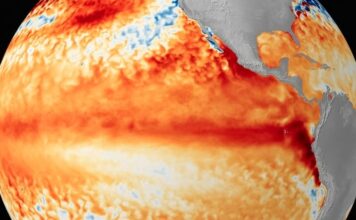 El fenómeno El Niño alcanzará su máxima intensidad en diciembre, prevén lluvias para gran parte de Argentina