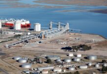 Louis Dreyfus Reporta Ventas Récord en Argentina: ¿Qué Implicaciones Tiene para el Futuro?