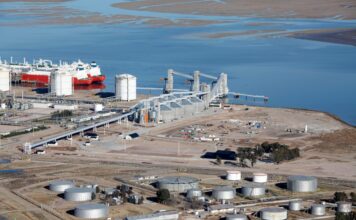 Louis Dreyfus Reporta Ventas Récord en Argentina: ¿Qué Implicaciones Tiene para el Futuro?