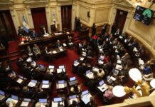 El Senado aprueba un nuevo marco regulatorio para biocombustibles que genera controversia