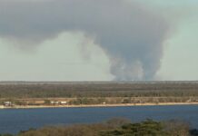 Regreso del Humo: Incendios en Islas del Paraná Desatan Alerta Ambiental