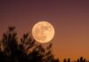 Descubre Cuándo Será la Luna Llena de Septiembre 2026