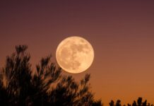 Descubre Cuándo Será la Luna Llena de Septiembre 2026