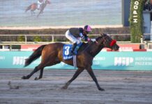 William Pereyra Brilla en Palermo: Triunfo Doble en la Triple Corona