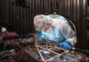 La NASA Desarrolla un Innovador Instrumento para Monitorear Terremotos en la Luna