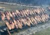 La Fiesta del Asado Criollo 2026: Un Fin de Semana de Sabor y Tradición
