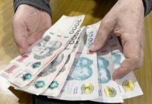 Las Mejores Tasas de Plazos Fijos en Argentina: Comparativa de Bancos para Este Martes