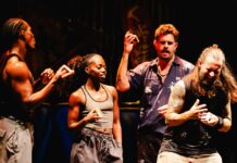 El Regreso Triunfal de Stomp: Un Espectáculo que Transforma el Ruido en Arte