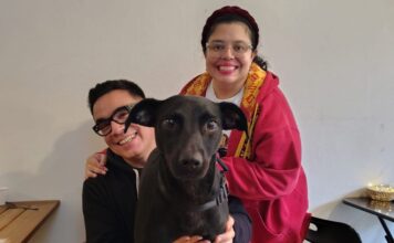 Sakura: La perra rescatada que encontró su hogar en una jornada de adopción
