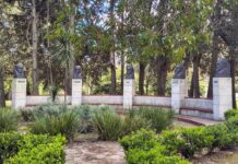 Crisis y autohomenaje: La Universidad en la encrucijada del poder