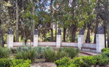 Crisis y autohomenaje: La Universidad en la encrucijada del poder