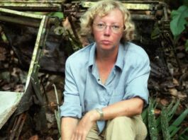 La increíble historia de Juliane Koepcke, la única sobreviviente del vuelo 508