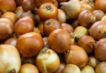El Precio de la Cebolla se Dispara: Aumento del 42,7% Impacta en el Mercado