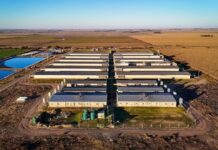 Córdoba lanza créditos de carbono y el Senado avanza hacia una regulación nacional