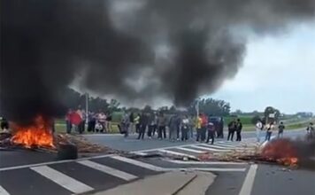 Crisis en Capitán Sarmiento: 750 trabajadores de Granja Tres Arroyos enfrentan el desempleo y la solidaridad comunitaria