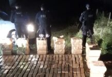 Sorpresivo hallazgo: Encuentran casi una tonelada de marihuana en un campo de Santa Fe