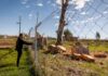 Vecinos luchan por preservar el último pulmón rural del conurbano ante la amenaza de urbanización