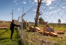 Vecinos luchan por preservar el último pulmón rural del conurbano ante la amenaza de urbanización